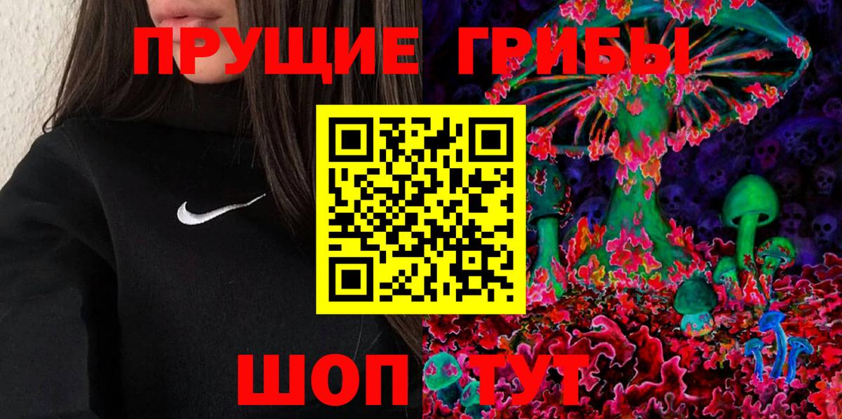Галлюциногенные грибы Psilocybine cubensis Сарапул