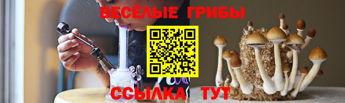 Псилоцибиновые грибы Cubensis  Вход с VPN  Сарапул  Галлюциногенные грибы мухоморы 